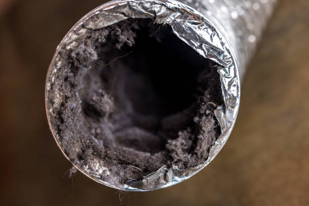 Best Commercial HVAC Duct Cleaning  in Georgetown, OH