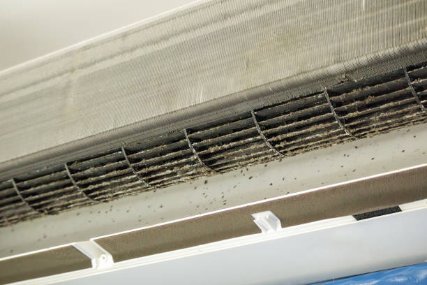 Best Ductwork Cleaning Services  in Georgetown, OH